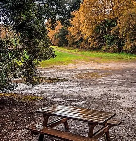 Centro 2 * 테로르